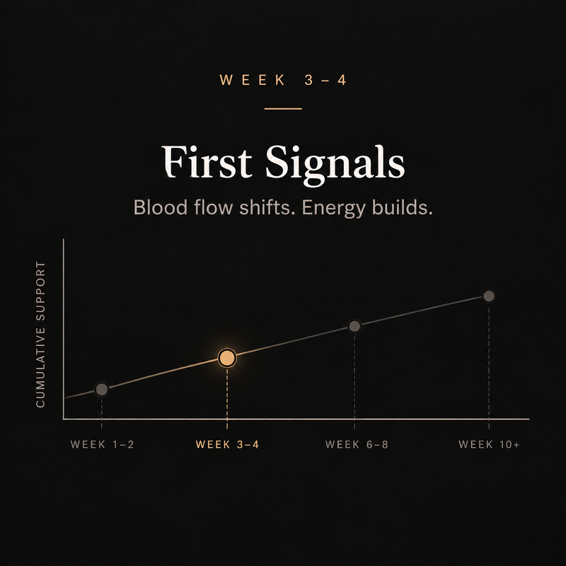 Week 3-4
