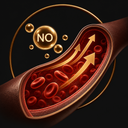 Supports nitric oxide production through your body's natural pathway†