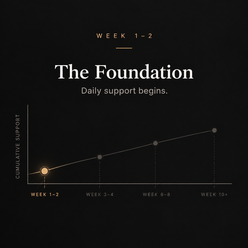 Week 1-2