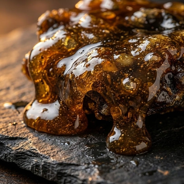 Shilajit Extract (≥20% Fulvic Acid)